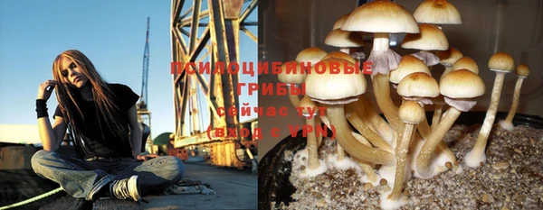 соль курить ск Аркадак