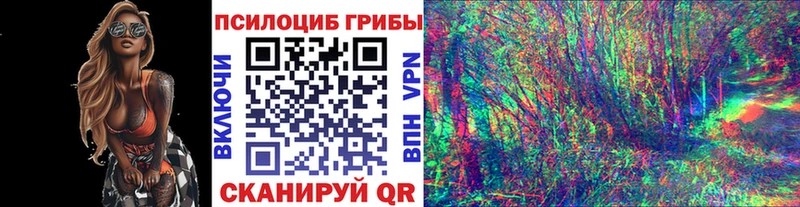 Псилоцибиновые грибы Cubensis  Мышкин 